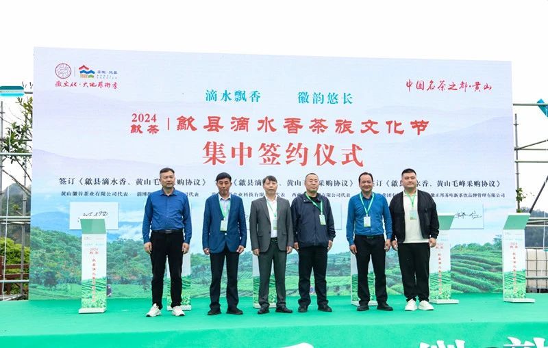 关于歙县滴水香茶旅文化节，启幕！的消息(12)