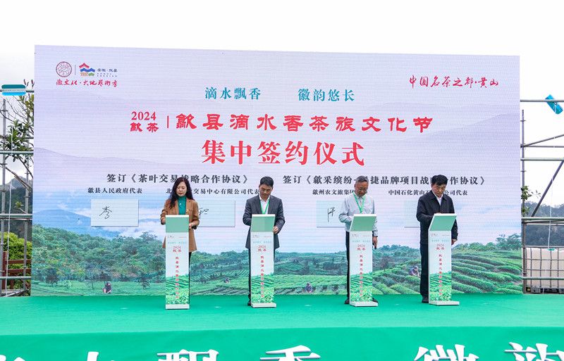 关于歙县滴水香茶旅文化节，启幕！的消息(10)