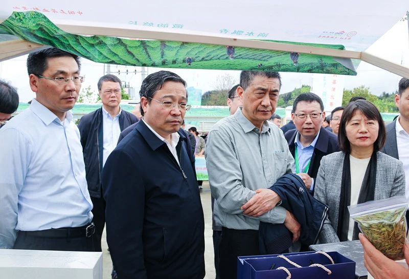 关于歙县滴水香茶旅文化节，启幕！的消息(14)