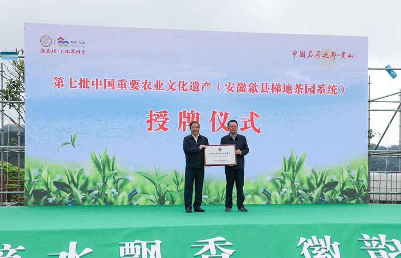 关于歙县滴水香茶旅文化节，启幕！的消息(6)