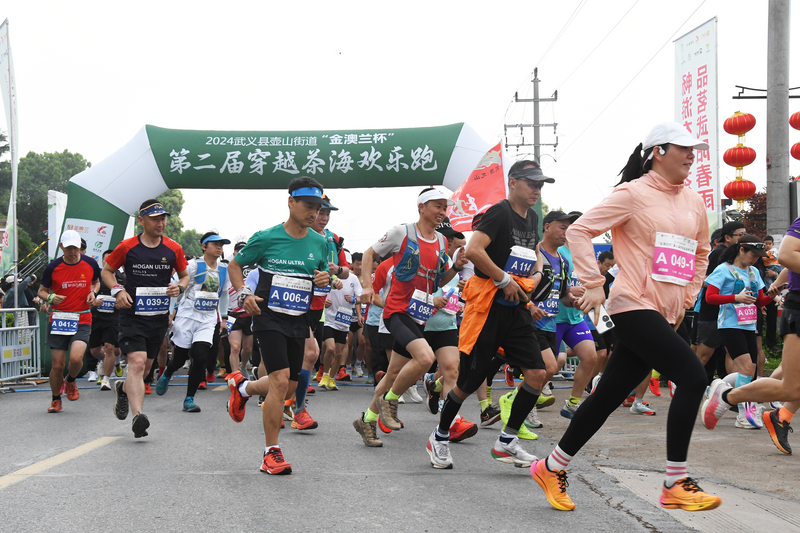 关于来武义！奔赴茶海的内容(1)