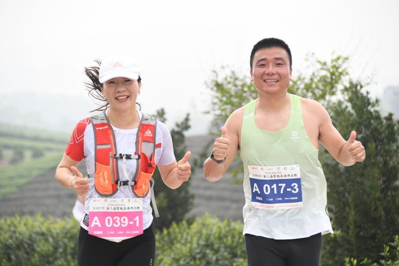 关于来武义！奔赴茶海的内容(3)