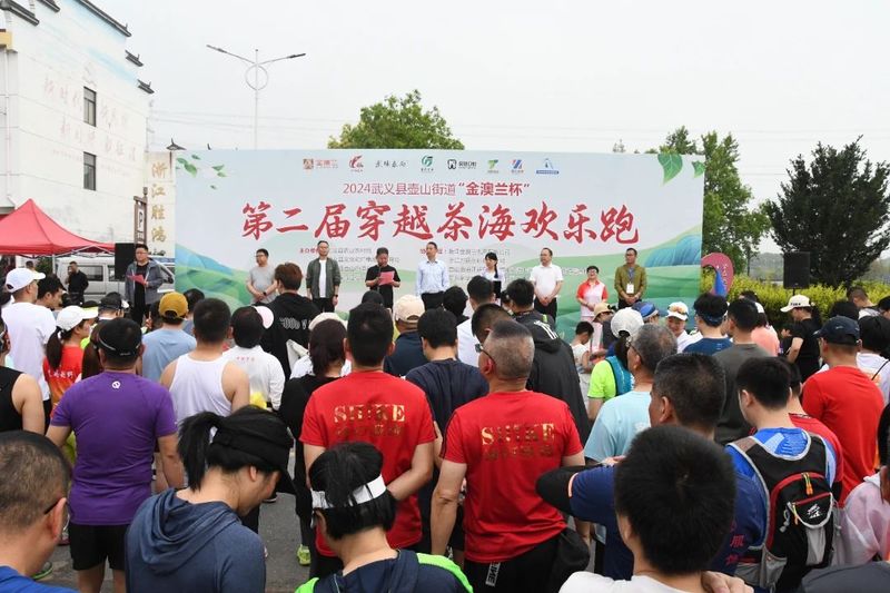 关于来武义！奔赴茶海的内容