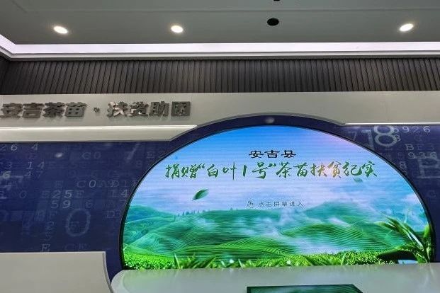 关于“科技与茶香的融合”研学活动的资讯(3)