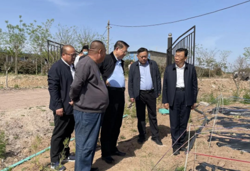 有关于诸城市政协主席王爱民到南湖区调研茶产业发展情况的相关内容(1)