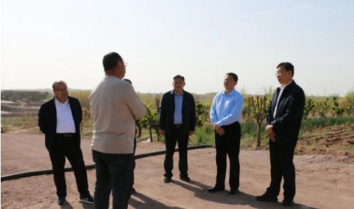 有关于诸城市政协主席王爱民到南湖区调研茶产业发展情况的相关内容