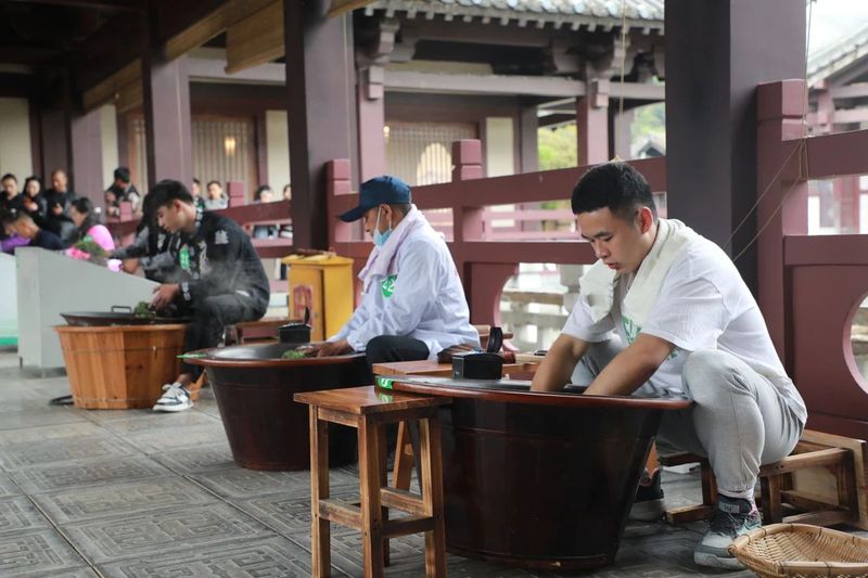 关于都匀毛尖一季度产值达18.11亿元的最新消息(10)