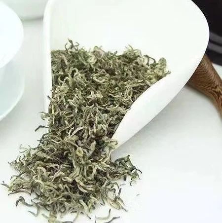 关于都匀毛尖一季度产值达18.11亿元的最新消息(14)