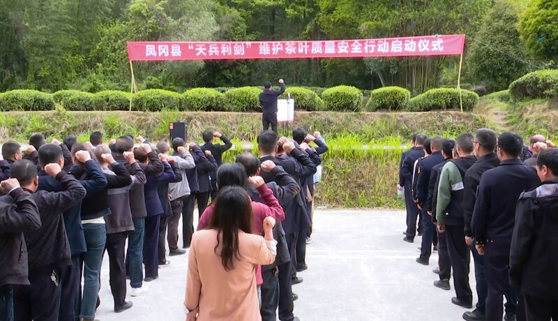 有关于凤冈县启动“天兵利剑” 行动 从源头管控茶叶质量安全关的信息