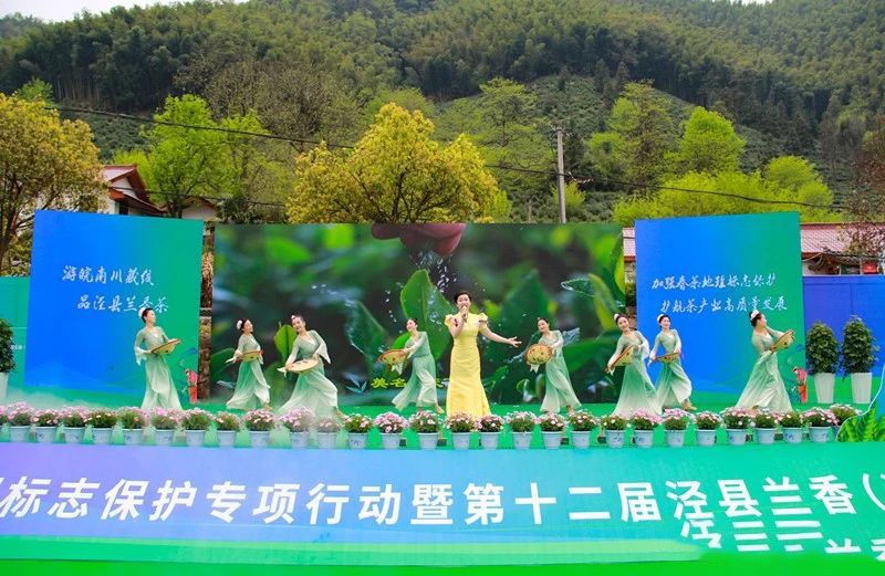 有关于安徽省春茶地理标志保护专项行动暨第十二届泾县兰香（汀溪）采摘节正式启动的信息(15)