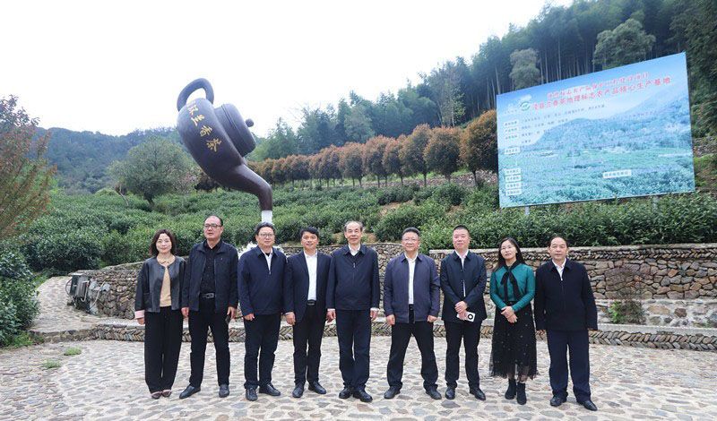 有关于安徽省春茶地理标志保护专项行动暨第十二届泾县兰香（汀溪）采摘节正式启动的信息(9)