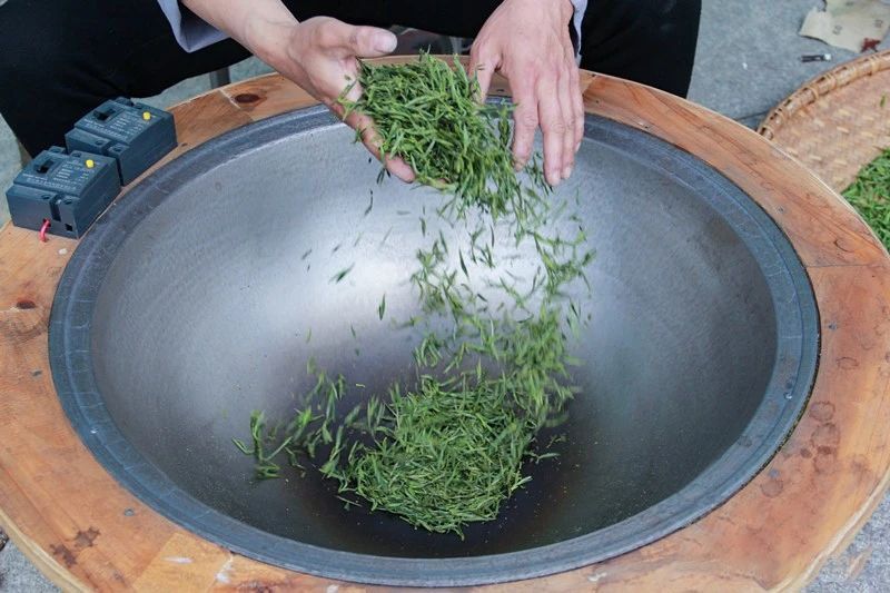 有关于安徽省春茶地理标志保护专项行动暨第十二届泾县兰香（汀溪）采摘节正式启动的信息(12)