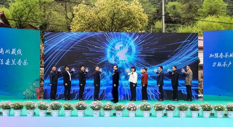 有关于安徽省春茶地理标志保护专项行动暨第十二届泾县兰香（汀溪）采摘节正式启动的信息(1)