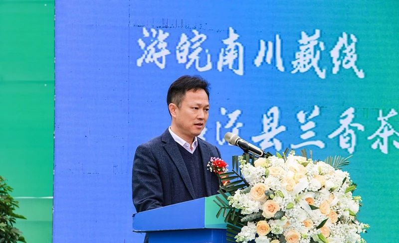 有关于安徽省春茶地理标志保护专项行动暨第十二届泾县兰香（汀溪）采摘节正式启动的信息(5)