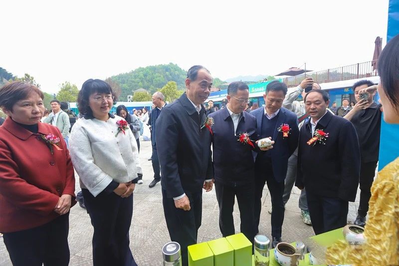 有关于安徽省春茶地理标志保护专项行动暨第十二届泾县兰香（汀溪）采摘节正式启动的信息(13)