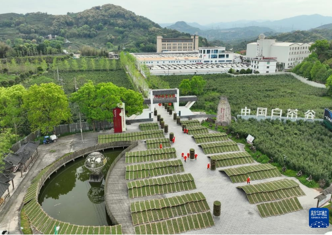 关于福建 茶文化的新“国潮”的相关内容(1)