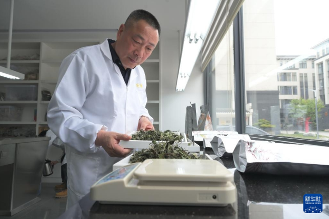 关于福建 茶文化的新“国潮”的相关内容(4)