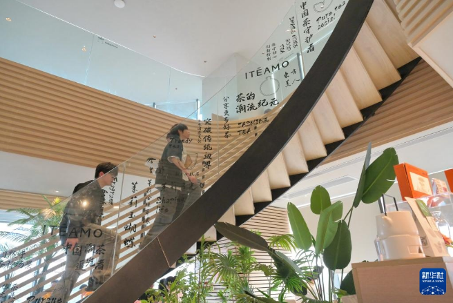 关于福建 茶文化的新“国潮”的相关内容(19)