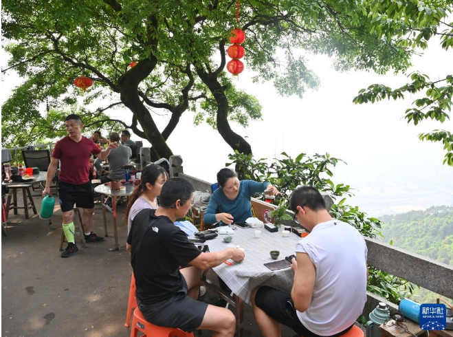 关于福建 茶文化的新“国潮”的相关内容(16)