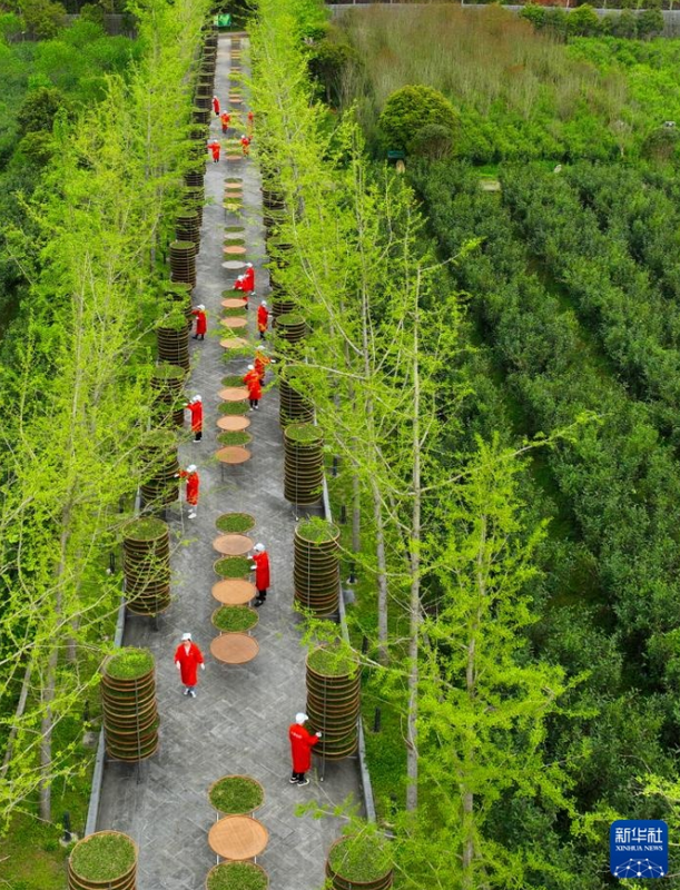 关于福建 茶文化的新“国潮”的相关内容(2)