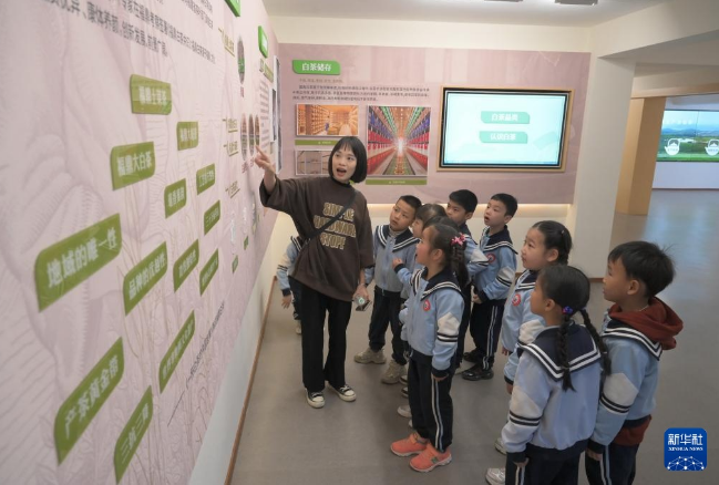 关于福建 茶文化的新“国潮”的相关内容(10)