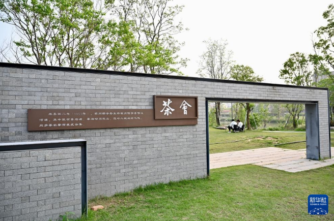 关于福建 茶文化的新“国潮”的相关内容(11)