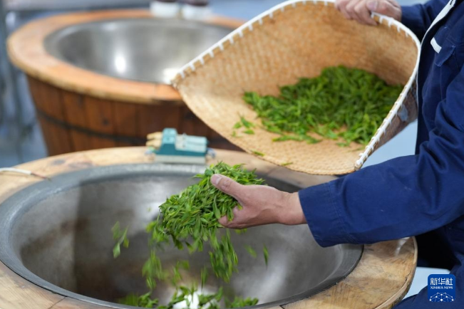 有关于河北省临城县“南茶北种”富农家的最新消息(8)