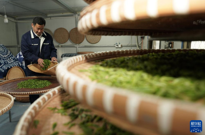 有关于河北省临城县“南茶北种”富农家的最新消息(6)