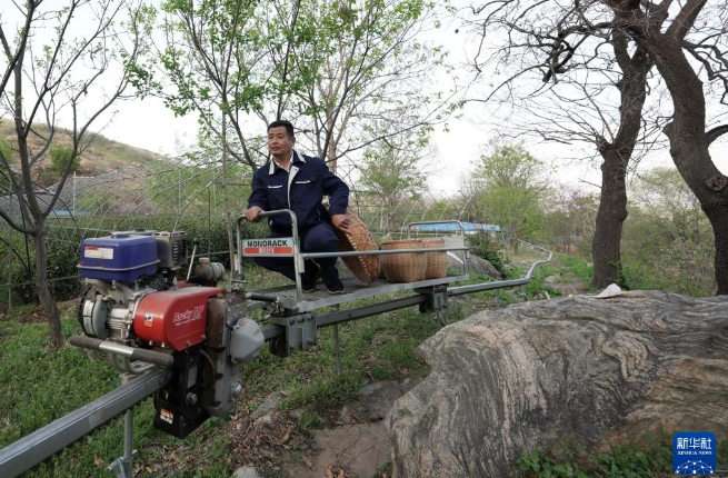 有关于河北省临城县“南茶北种”富农家的最新消息(3)