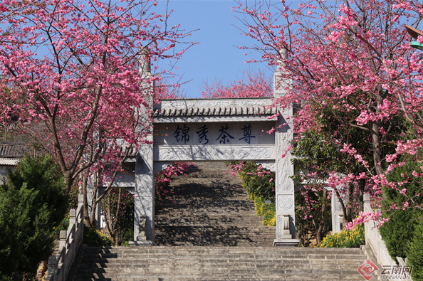 关于依托“锦秀茶尊” 做足茶旅融合“大文章”的相关内容(1)