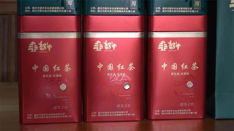 关于沙田镇缠良村：茶树吐香 春茶上市的新闻(7)