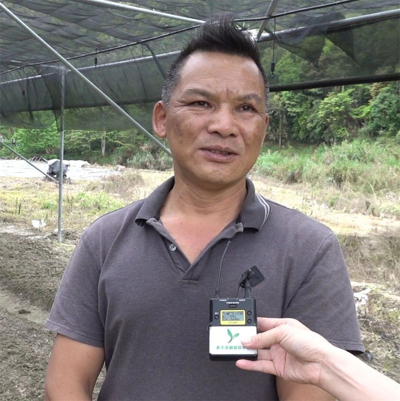 关于沙田镇缠良村：茶树吐香 春茶上市的新闻(2)