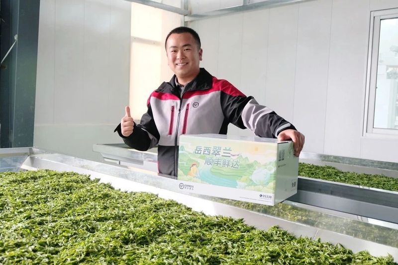 有关于岳西县茶业协会与安徽顺丰达成深度合作的信息(1)