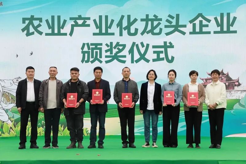 关于邵武市2024年第二届“碎铜茶”开采活动举办的相关信息(6)