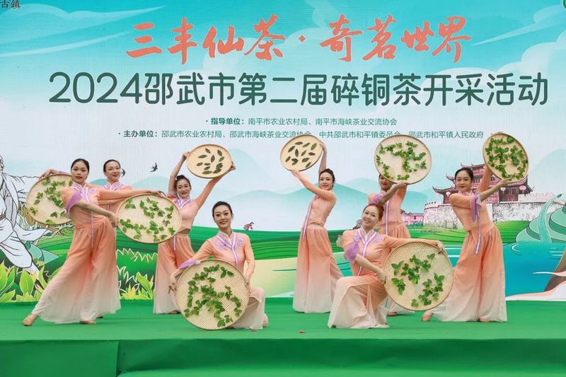 关于邵武市2024年第二届“碎铜茶”开采活动举办的相关信息