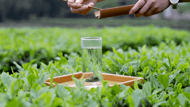 关于获央视推荐为春茶极品“恩施玉露”,上新开启茶饮赛道的相关内容