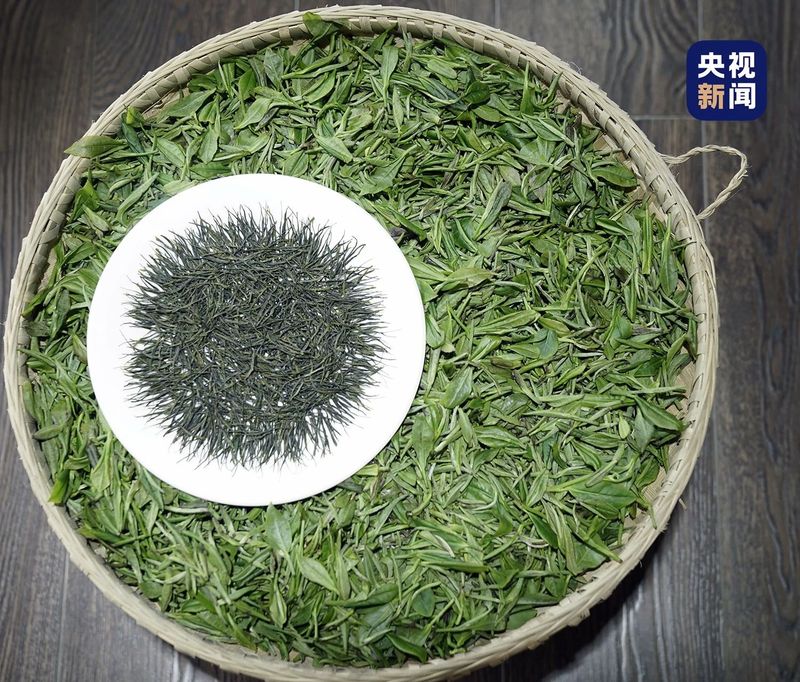 关于获央视推荐为春茶极品“恩施玉露”,上新开启茶饮赛道的相关内容(2)