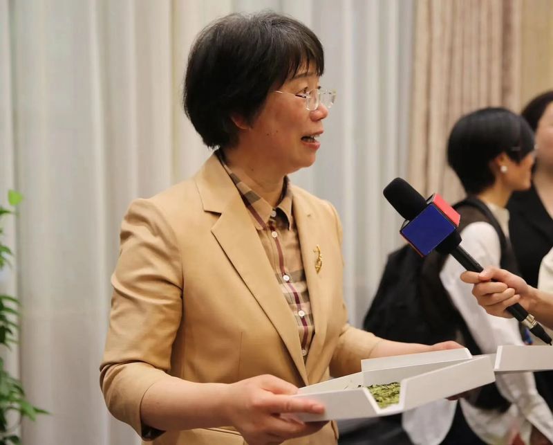 有关于前沿观茶, 历时八年,龙井茶国家标准样品今天正式发布!的相关内容(4)