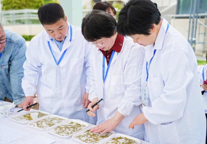 有关于新昌县重金奖励斗茶大赛获奖企业！的新闻(2)