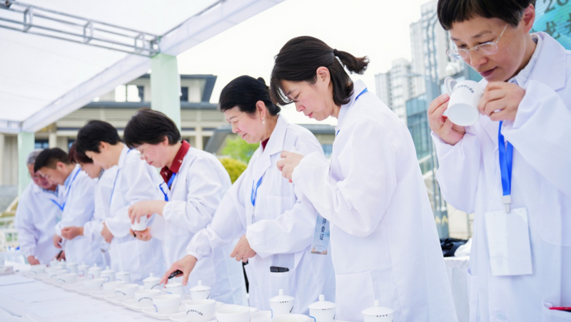 有关于新昌县重金奖励斗茶大赛获奖企业！的新闻(5)