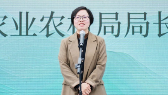 有关于新昌县重金奖励斗茶大赛获奖企业！的新闻(4)