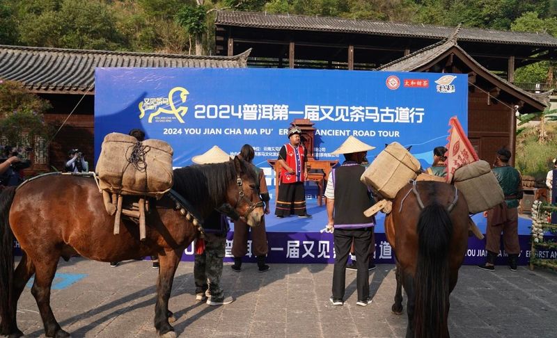 有关于2024 普洱第一届又见茶马古道行活动成功举办的信息(2)