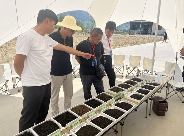 关于全国“茶人”启程滇红茶山行 新式茶饮基底茶亮眼吸睛的相关内容(2)