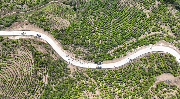 关于全国“茶人”启程滇红茶山行 新式茶饮基底茶亮眼吸睛的相关内容(4)