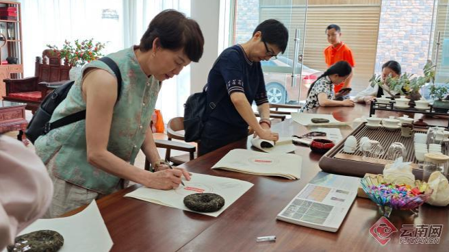 关于临沧临翔：春茶正采 春山正闹 “茶游”正热的资讯(2)