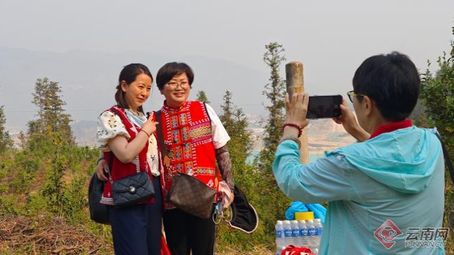 关于临沧临翔：春茶正采 春山正闹 “茶游”正热的资讯(1)