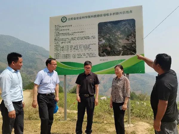 有关于云南茶叶所农科服务团专家到临沧主产茶区开展科技服务的资讯(3)