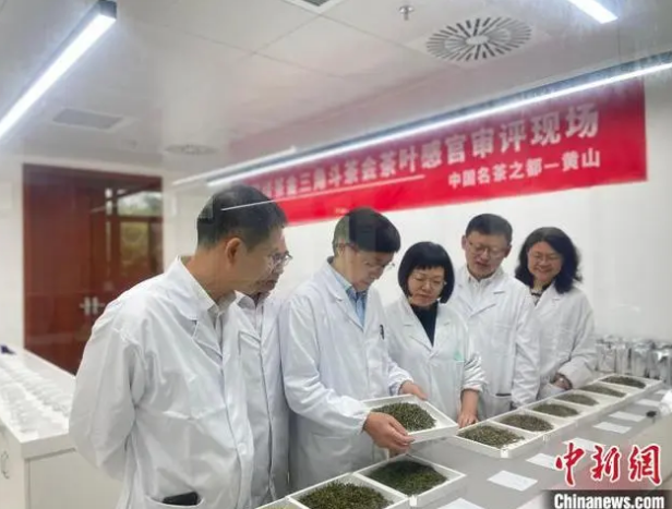 关于皖浙赣绿茶金三角斗茶会：共促区域茶产业协同发展的内容