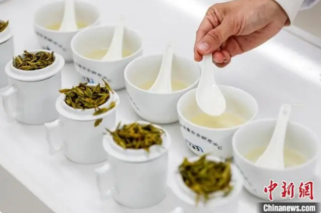 关于皖浙赣绿茶金三角斗茶会：共促区域茶产业协同发展的内容(1)