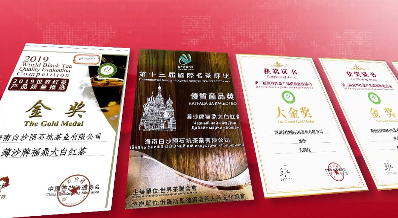 关于白沙：生态有机“薄沙茶” 品质优良美名扬的消息(6)